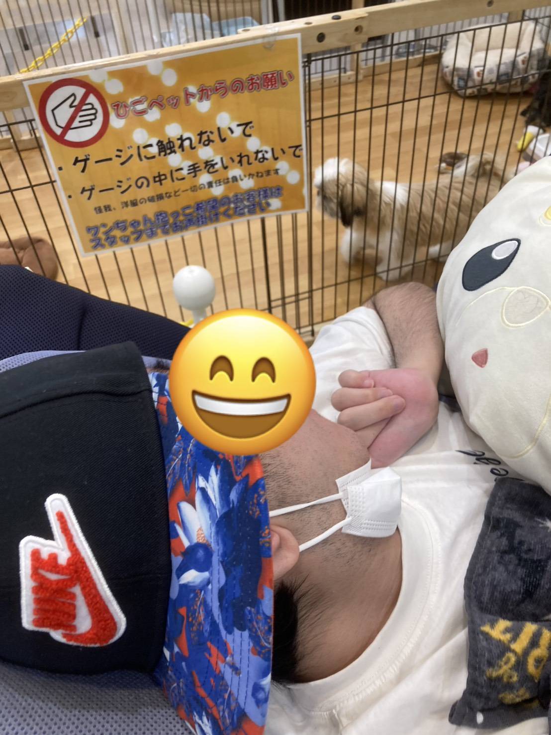 お買い物の様子